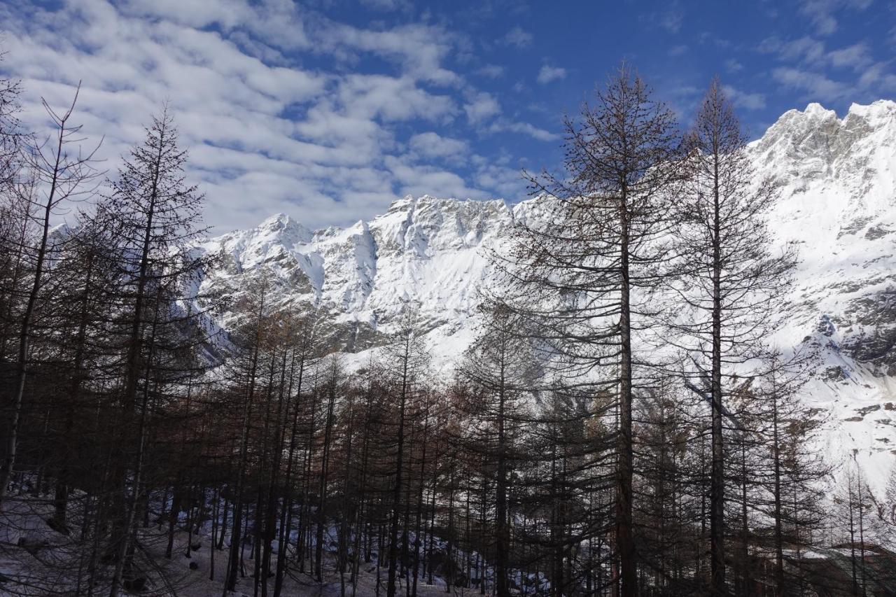 Erikzang - Cervinia Ski In Ski Out Apartments ブレウイル・チェルヴィナイア エクステリア 写真